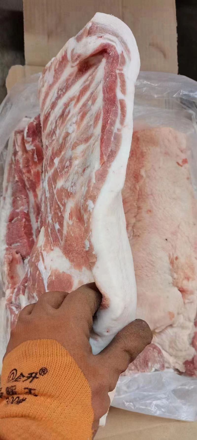 金锣猪肉批发